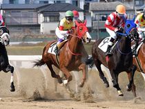 ����å��ǳ��������ɽ�����ޤ�