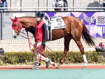 ����å��ǳ��������ɽ�����ޤ�