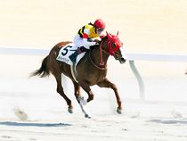 ����å��ǳ��������ɽ�����ޤ�