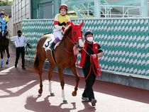 ����å��ǳ��������ɽ�����ޤ�