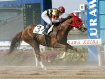 ����å��ǳ��������ɽ�����ޤ�