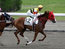 ����å��ǳ��������ɽ�����ޤ�