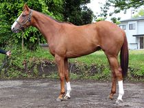 ����å��ǳ��������ɽ�����ޤ�