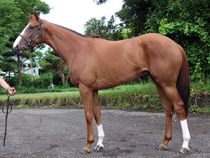 ����å��ǳ��������ɽ�����ޤ�