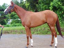 ����å��ǳ��������ɽ�����ޤ�