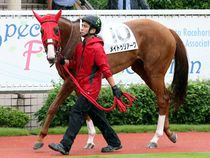 ����å��ǳ��������ɽ�����ޤ�