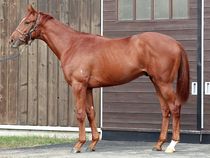 ����å��ǳ��������ɽ�����ޤ�