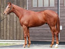 ����å��ǳ��������ɽ�����ޤ�