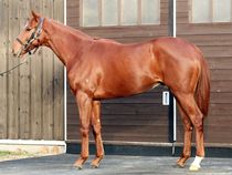 ����å��ǳ��������ɽ�����ޤ�