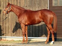 ����å��ǳ��������ɽ�����ޤ�