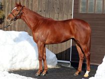 ����å��ǳ��������ɽ�����ޤ�