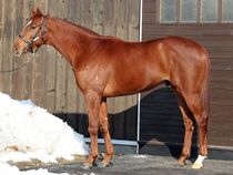 ����å��ǳ��������ɽ�����ޤ�