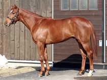 ����å��ǳ��������ɽ�����ޤ�