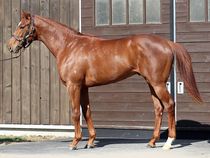 ����å��ǳ��������ɽ�����ޤ�