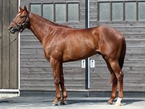 ����å��ǳ��������ɽ�����ޤ�