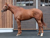 ����å��ǳ��������ɽ�����ޤ�