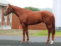 ����å��ǳ��������ɽ�����ޤ�