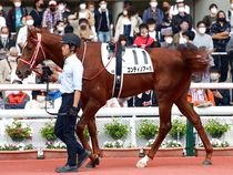 ����å��ǳ��������ɽ�����ޤ�