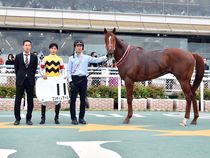 ����å��ǳ��������ɽ�����ޤ�