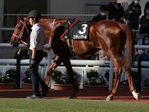 ����å��ǳ��������ɽ�����ޤ�