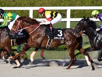 ����å��ǳ��������ɽ�����ޤ�