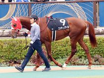 ����å��ǳ��������ɽ�����ޤ�