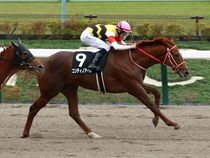 ����å��ǳ��������ɽ�����ޤ�