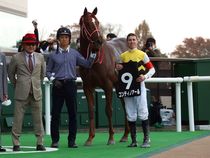 ����å��ǳ��������ɽ�����ޤ�