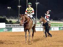 ����å��ǳ��������ɽ�����ޤ�