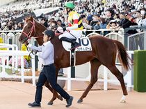 ����å��ǳ��������ɽ�����ޤ�