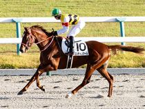 ����å��ǳ��������ɽ�����ޤ�