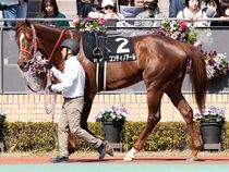 ����å��ǳ��������ɽ�����ޤ�