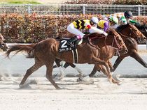 ����å��ǳ��������ɽ�����ޤ�