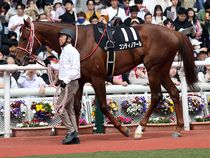 ����å��ǳ��������ɽ�����ޤ�