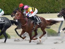 ����å��ǳ��������ɽ�����ޤ�