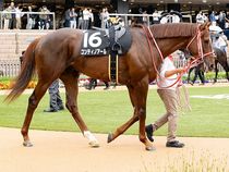 ����å��ǳ��������ɽ�����ޤ�