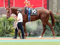 ����å��ǳ��������ɽ�����ޤ�