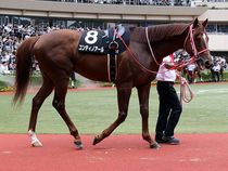 ����å��ǳ��������ɽ�����ޤ�