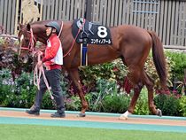 ����å��ǳ��������ɽ�����ޤ�