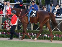 ����å��ǳ��������ɽ�����ޤ�