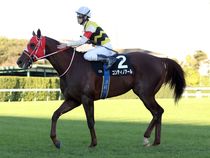 ����å��ǳ��������ɽ�����ޤ�