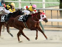 ����å��ǳ��������ɽ�����ޤ�