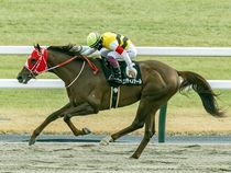 ����å��ǳ��������ɽ�����ޤ�