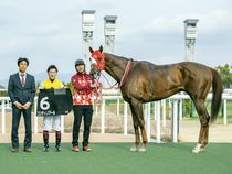 ����å��ǳ��������ɽ�����ޤ�