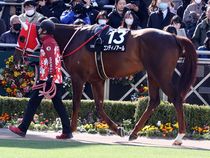 ����å��ǳ��������ɽ�����ޤ�