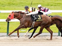 ����å��ǳ��������ɽ�����ޤ�