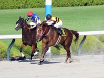 ����å��ǳ��������ɽ�����ޤ�