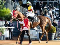 ����å��ǳ��������ɽ�����ޤ�