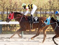 ����å��ǳ��������ɽ�����ޤ�