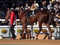 ����å��ǳ��������ɽ�����ޤ�